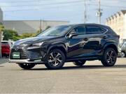 2021 LEXUS NX