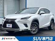 2020 LEXUS NX