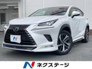 2019 LEXUS NX