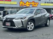 2019 LEXUS UX