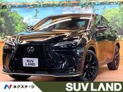 2025 LEXUS NX