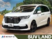 2021 HONDA OTHER