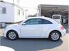 VOLKSWAGEN THE BEETLE