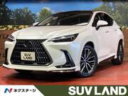 2023 LEXUS NX
