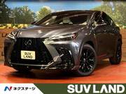 2023 LEXUS NX