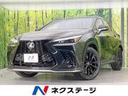 2023 LEXUS NX