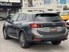 SUBARU OTHER