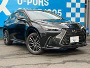 2026 LEXUS NX