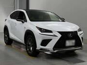 2018 LEXUS NX