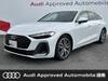 AUDI OTHER