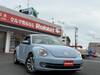 VOLKSWAGEN THE BEETLE