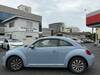 VOLKSWAGEN THE BEETLE