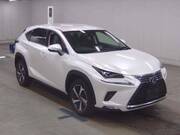 2019 LEXUS NX