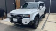 2025 TOYOTA LANDCRUISER 250