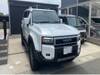 TOYOTA LANDCRUISER 250