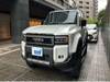 TOYOTA LANDCRUISER 250