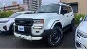 2024 TOYOTA LANDCRUISER 250