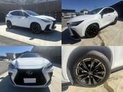 2021 LEXUS NX