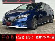 2020 NISSAN LEAF