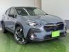 SUBARU OTHER