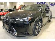 2019 LEXUS UX