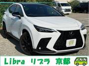 2025 LEXUS NX