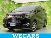 2017 TOYOTA ALPHARD