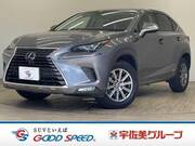 2018 LEXUS NX