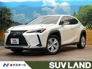2022 LEXUS UX