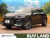 LEXUS OTHER