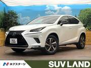 2018 LEXUS NX