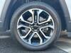 CHRYSLER JEEP COMPASS