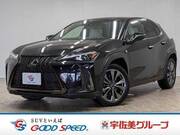 2019 LEXUS UX