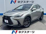 2025 LEXUS NX