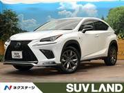 2019 LEXUS NX