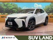2024 LEXUS UX