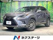 2019 LEXUS NX