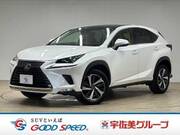 2018 LEXUS NX