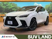 2024 LEXUS NX