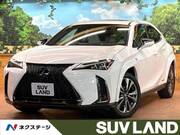 2021 LEXUS UX