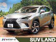 2018 LEXUS NX