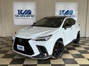 2024 LEXUS NX