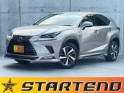 2018 LEXUS NX