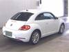 VOLKSWAGEN THE BEETLE