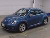 VOLKSWAGEN THE BEETLE