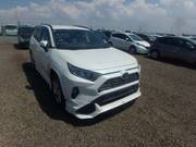 2019 TOYOTA RAV4 G