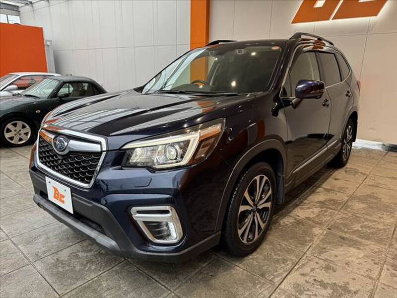 2019 SUBARU FORESTER for sale - photo 11