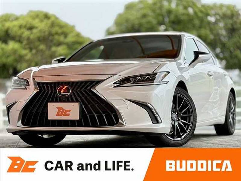 2020 LEXUS ES for sale