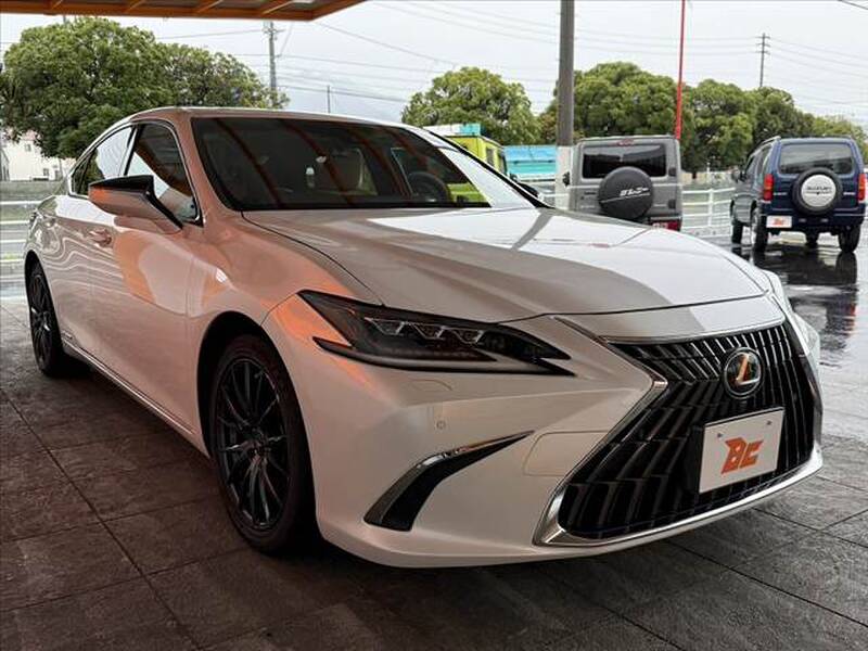 2020 LEXUS ES for sale - photo 9