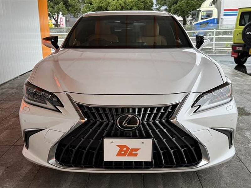 2020 LEXUS ES for sale - photo 10